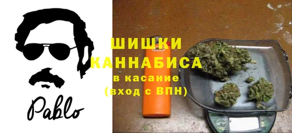 шишки Балабаново