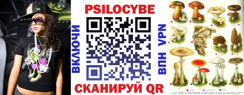 Галлюциногенные грибы Psilocybe  Сатка 